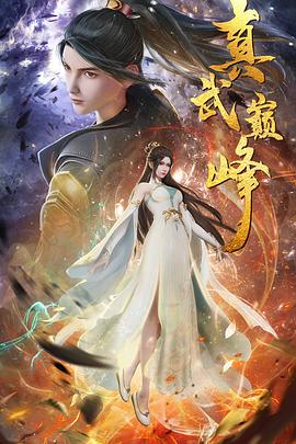 网站推广优化开发建设